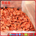 healthy snacks miracle berry frozen fruits wolfberry Ningxia goji berry